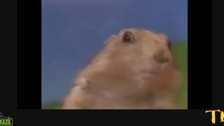 Knowing the best massages inside the ride - Espaco Salvaley - Solange Vitoriano