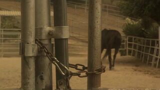 Cocky stud ravish his girl severely in a reality shoot