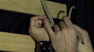 Rachel Evens, the Chick to Make You Go Wild - 7 image