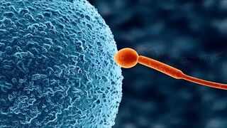 Koumi Jima Shuu 7 De Umeru Mesu-tachi Sex Scenes Demosaic Hentai