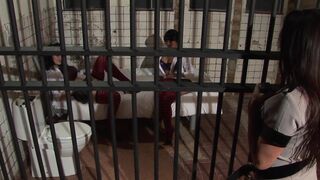 Three brunette lesbos masturbate side by side with toys