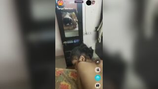 Indian desi model live streaming