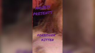 Come play with kitten